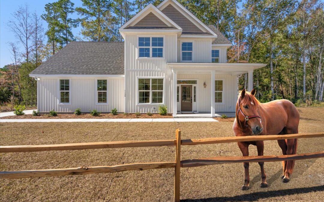 1156 Porcher School Rd